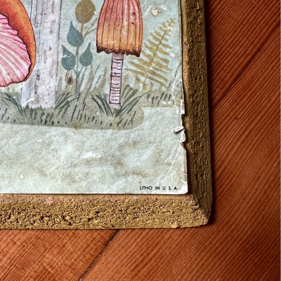 Vintage Cottagecore Mushroom Botany Litho Art Print 1971 USA made - Picture 7 of 12